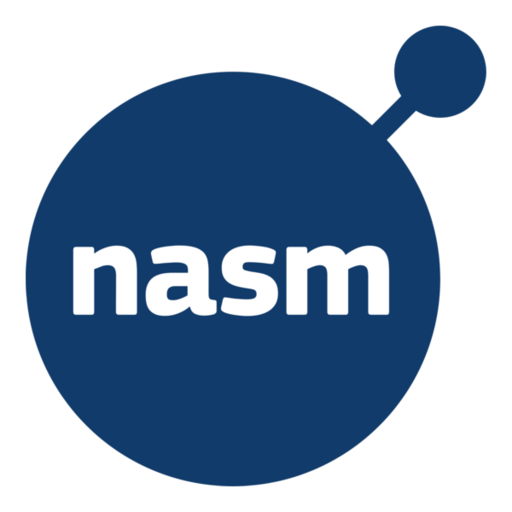 NASM Runner para Windows